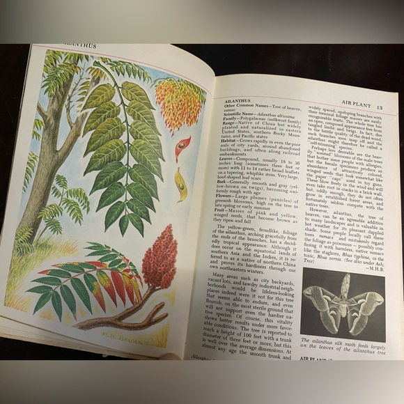 Vintage book Audubon Nature Encyclopedia 1964 for ephemera - Picture 4 of 8